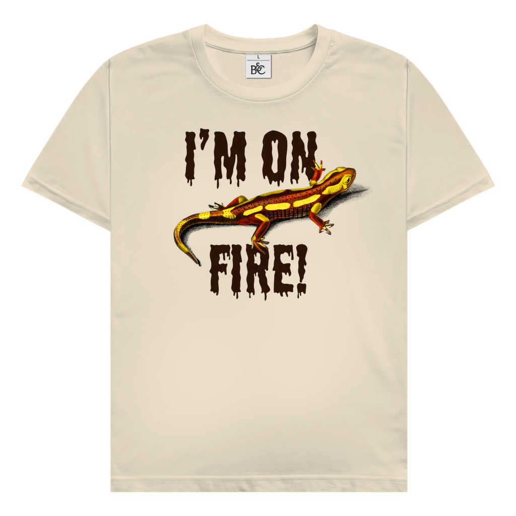 I'm on fire! T-Shirt